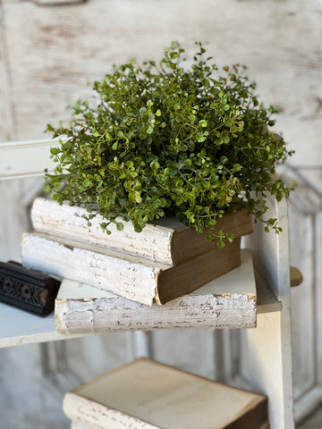 Baby's Grass Half Sphere | New Green | 7"