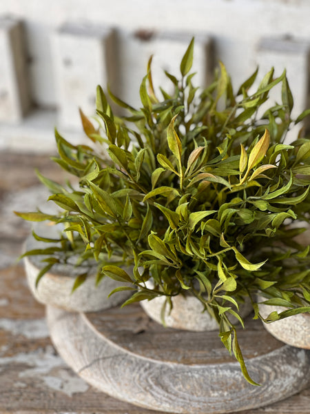 Smilax Half Sphere | Green | 8"