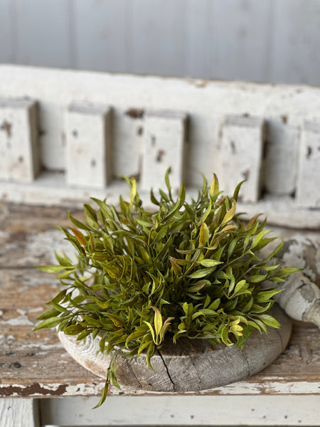 Smilax Half Sphere | Green | 8"