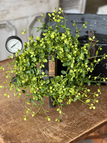 Bog Pimpernel Candle Ring | 14"