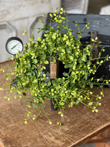 Bog Pimpernel Candle Ring | 14"