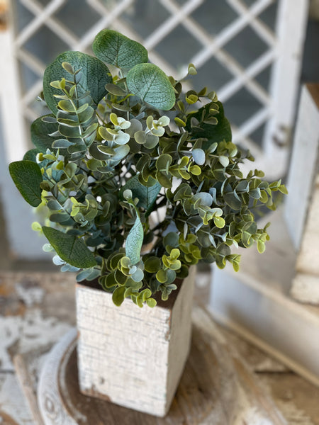 Enclave Eucalyptus Bush | 15.5"