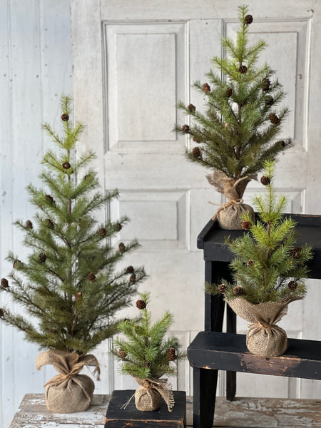 Greenup Pine Tree w/ Cones | 36" | SOLD OUT