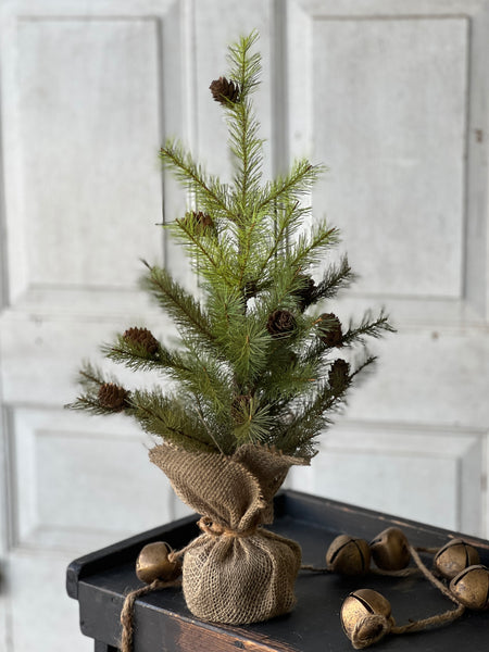 Greenup Pine Tree w/ Cones | 18" | SOLD OUT