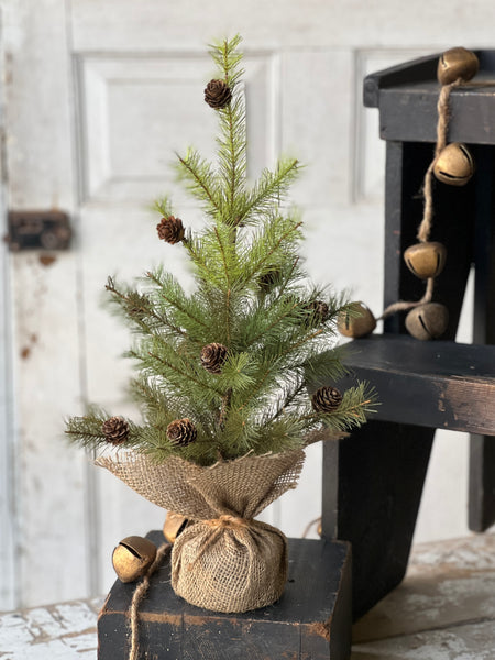Greenup Pine Tree w/ Cones | 18" | SOLD OUT