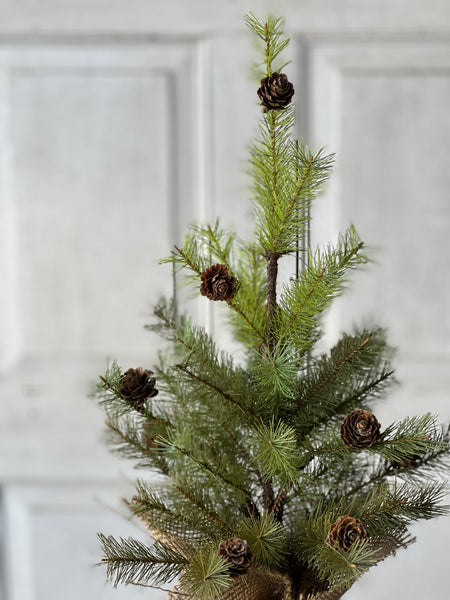 Greenup Pine Tree w/ Cones | 18" | SOLD OUT