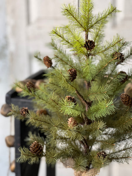 Greenup Pine Tree w/ Cones | 24" | SOLD OUT