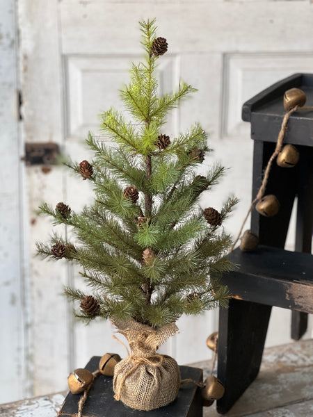 Greenup Pine Tree w/ Cones | 24" | SOLD OUT