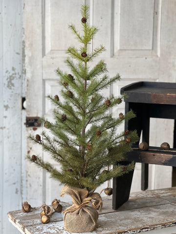 Greenup Pine Tree w/ Cones | 36" | SOLD OUT