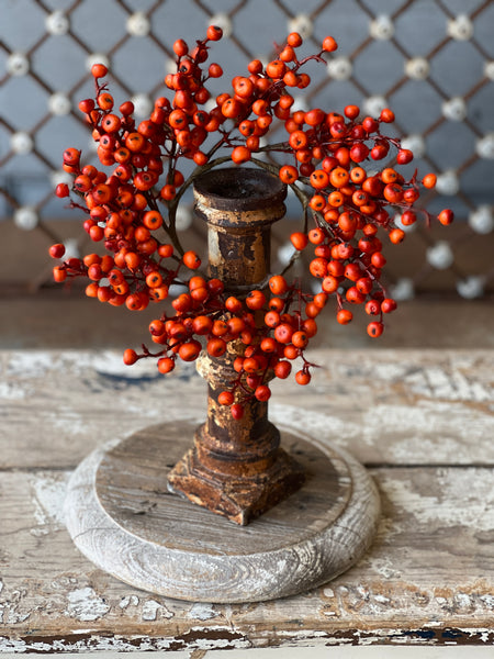 Cranberries Candle Ring | Orange | 10" | SOLD OUT