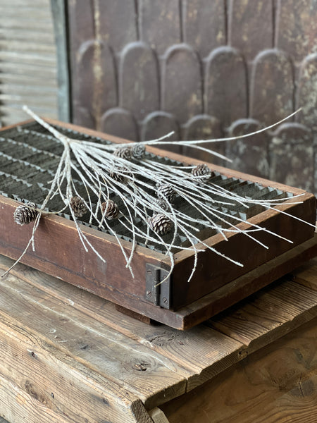 Snowy Birch Twig Spray | White | 34"