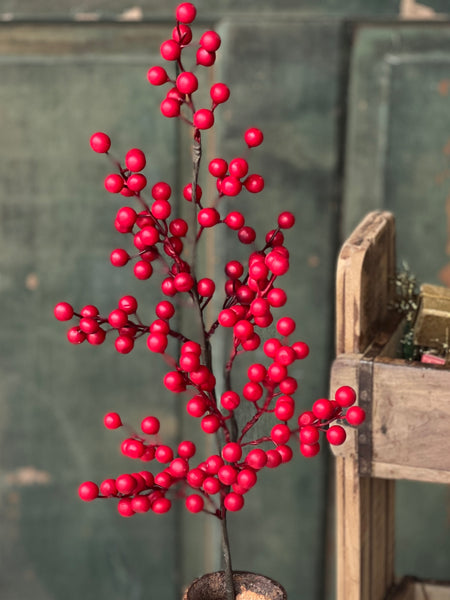 Matte Weatherproof Berry Spray | Red | 25" | SOLD OUT