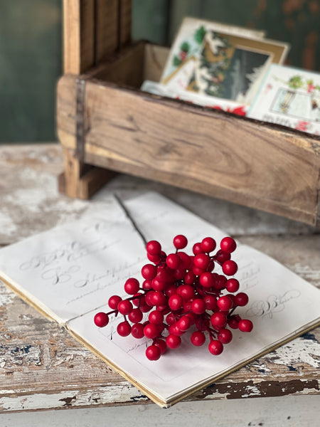 Matte Weatherproof Berry Pick | Red | 12" | SOLD OUT