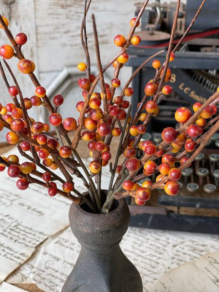 Berry Bush | 13" | Rusty | SOLD OUT