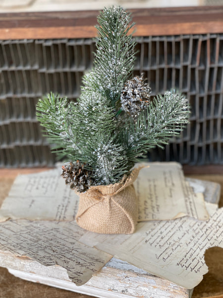Snow Pine & Cedar - Lancaster Home & Holiday