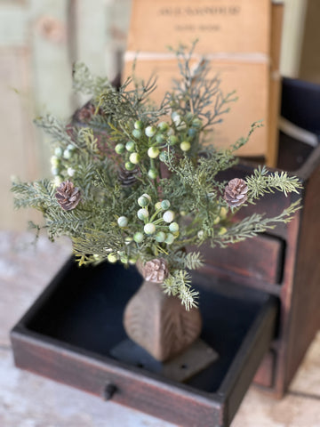 Siberian Cypress Bush | 12" | Fresh | SOLD OUT