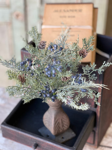 Siberian Cypress Bush | 12" | Blue | SOLD OUT