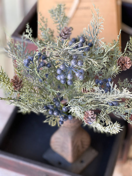 Siberian Cypress Bush | 12" | Blue | SOLD OUT