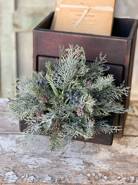 Siberian Cypress Half Sphere | 12" | Blue | CLEAN UP SPECIAL!  From $2.95 - Last 144pcs!