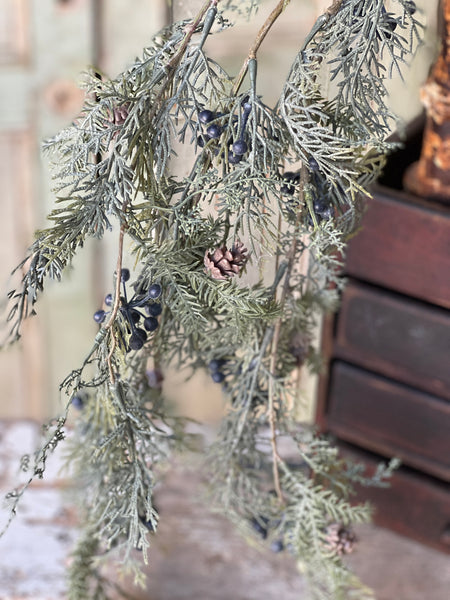 Siberian Cypress Hanging | 39" | Blue | CLEAN UP SPECIAL!  From $2.95 - Last 312pcs!