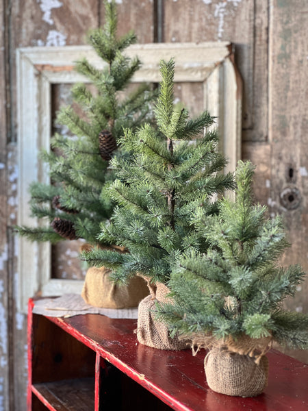 Icy Rocky Mountain Pine Tree | 12" | SOLD OUT