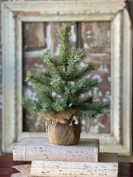 Icy Rocky Mountain Pine Tree | 12" | SOLD OUT