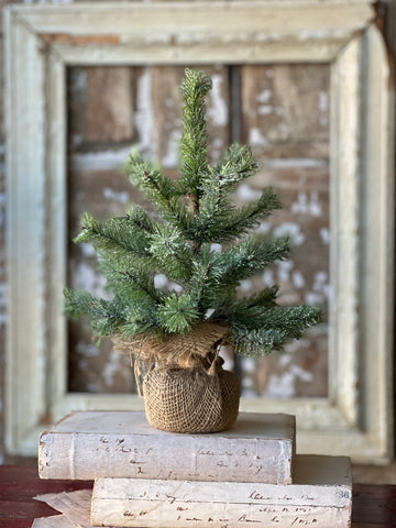 Icy Rocky Mountain Pine Tree | 12" | SOLD OUT