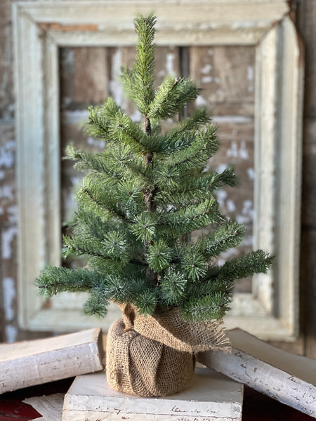 Icy Rocky Mountain Pine Tree | 18" | SOLD OUT