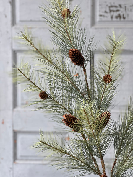 Southern Pine Spray | 44" | SOLD OUT