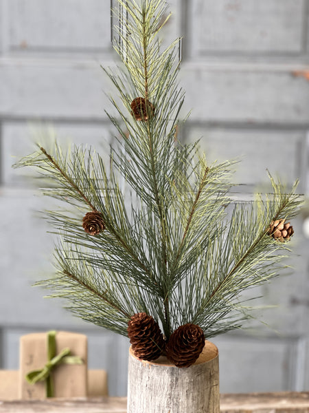 Southern Pine Spray | 24" | SOLD OUT