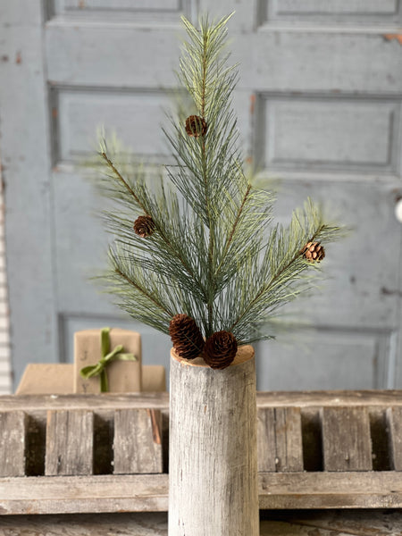 Southern Pine Spray | 24" | SOLD OUT
