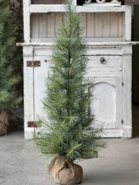 Timberline Pine Tree | 3' | SOLD OUT