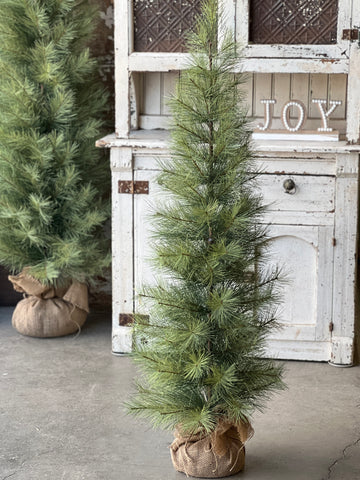 Timberline Pine Tree | 4' | SOLD OUT