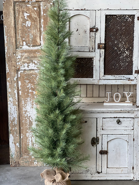 Timberline Pine Tree | 6' | Limited Stock - Last 2pcs!