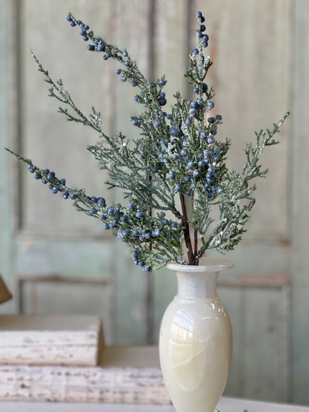 Icy Northwind Juniper Pick | 16" | SOLD OUT