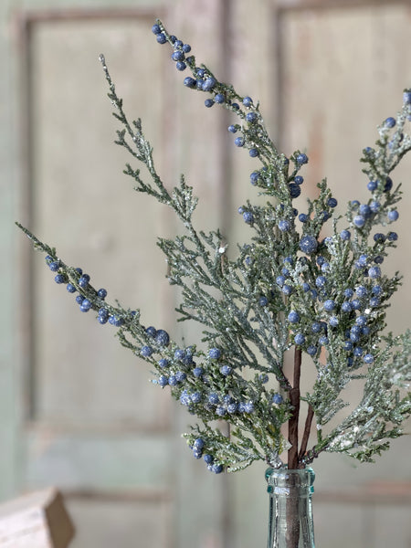 Icy Northwind Juniper Pick | 16" | SOLD OUT