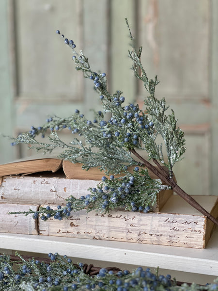 Icy Northwind Juniper Pick | 16" | SOLD OUT