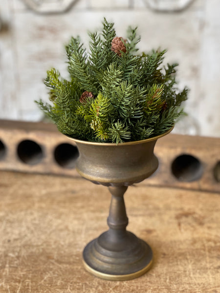 White Spruce Half Sphere | 8" | SOLD OUT