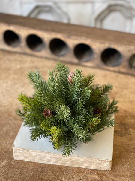 White Spruce Half Sphere | 8" | SOLD OUT