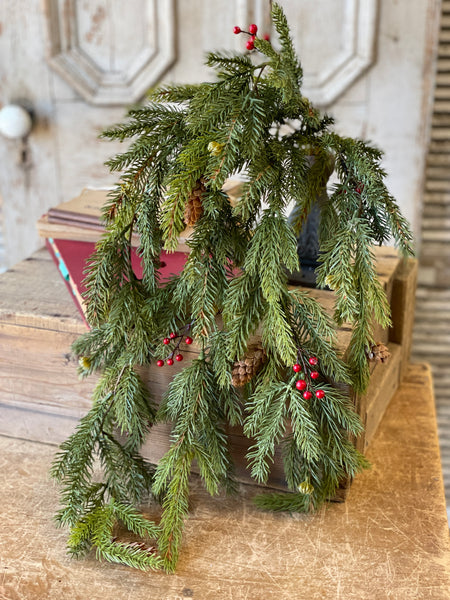 White Spruce w/ Berries Hanging | 34" | SOLD OUT
