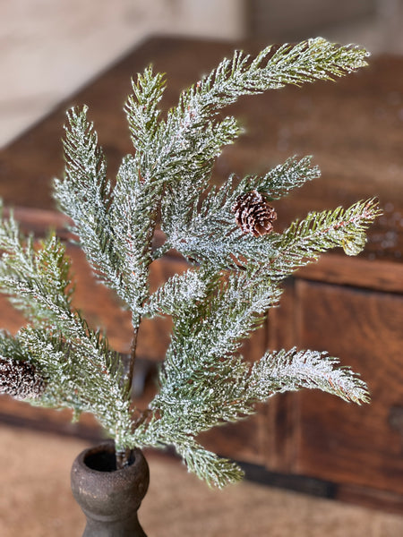 Frosted White Spruce Pick | 16" | SOLD OUT