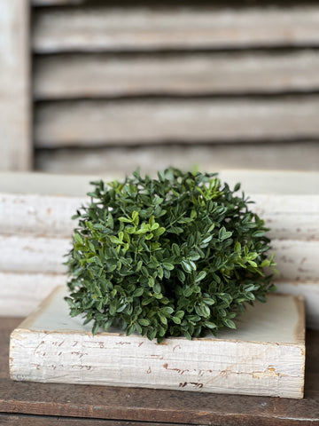 New England Boxwood Half Sphere | 8.5" | 25% OFF - DISCOUNT TAKEN IN OFFICE *