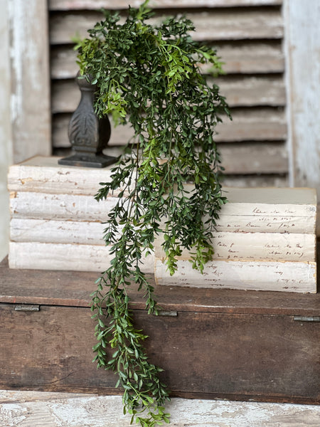 New England Boxwood Hanging | 32.5"