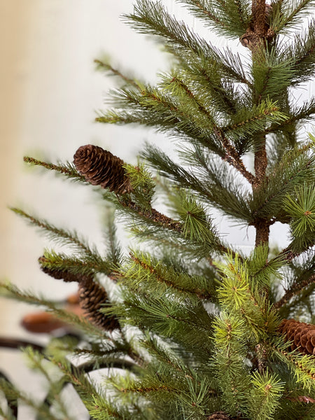 Caribou Ridge Tree | 6'