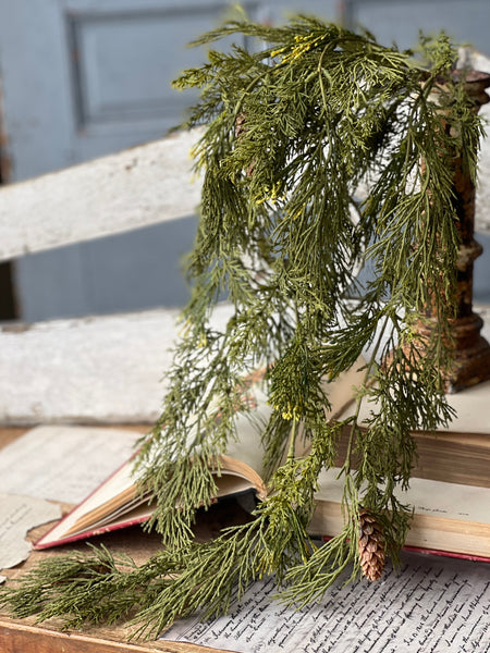 Alpine Cedar Hanging | 34" | SOLD OUT