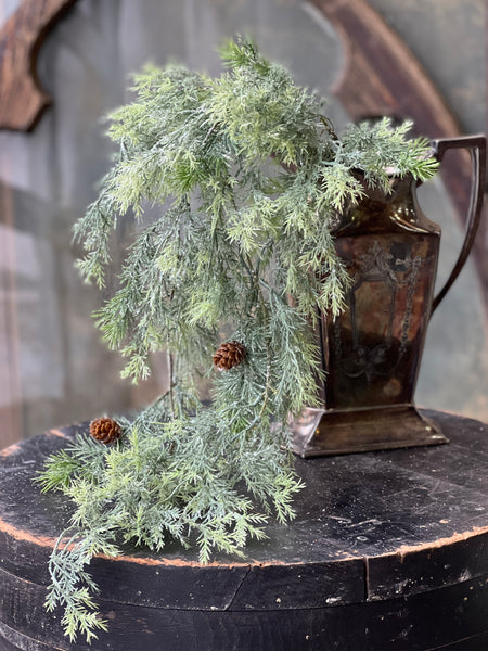 Stellar Cypress Hanging | 36" | SOLD OUT