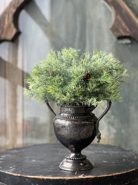 Stellar Cypress Half Sphere | 11" | SOLD OUT