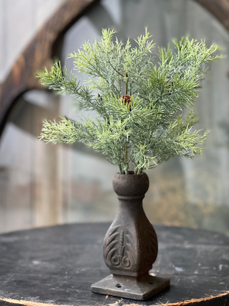 Stellar Cypress Bush | 13" | SOLD OUT