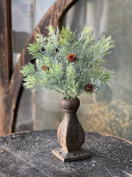 Stellar Cypress Bush | 13" | SOLD OUT