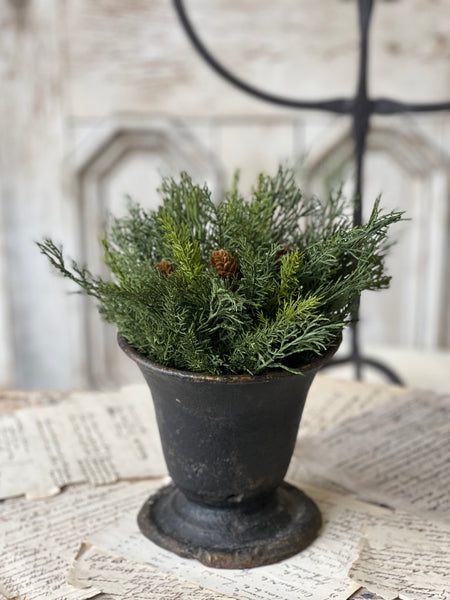 Advent Greens Half Sphere | 11" | SOLD OUT